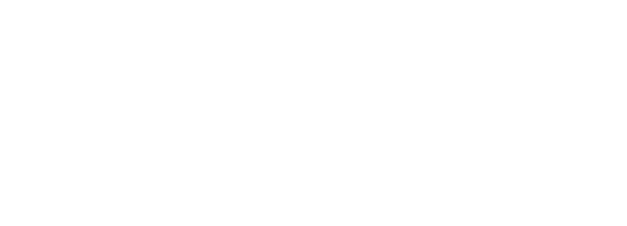 Logo of Synop