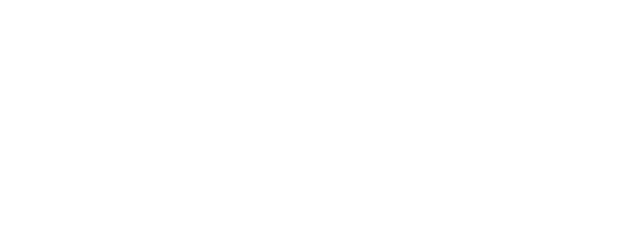 Logo of Wise Systems