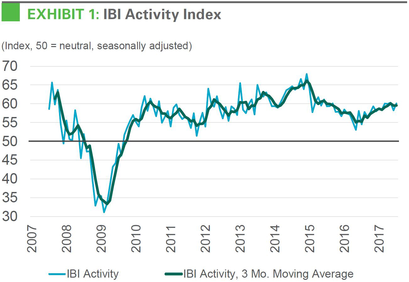 IBI Activity Index