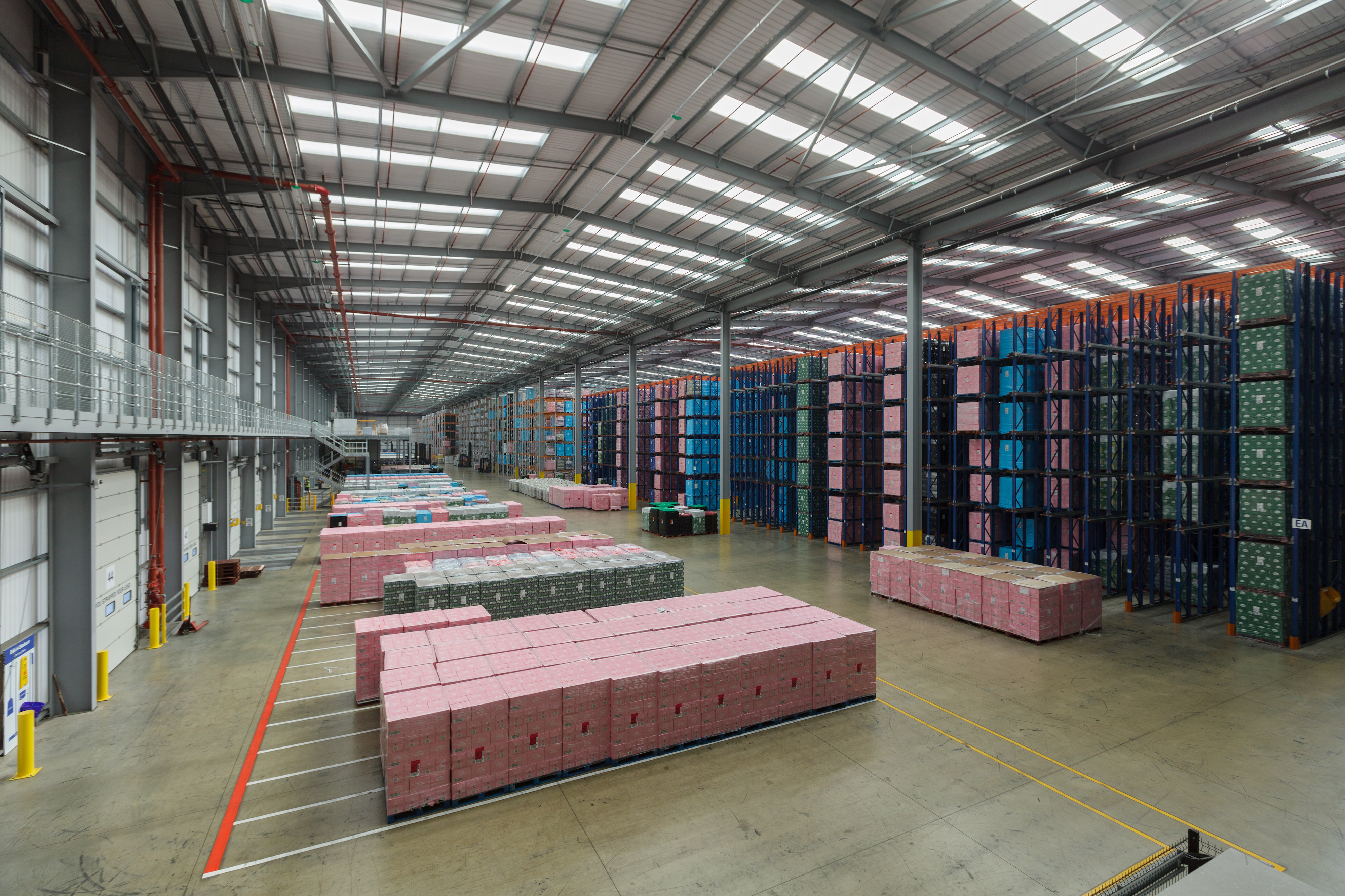 What are the Most Common Warehouse Organization Issues? | Prologis