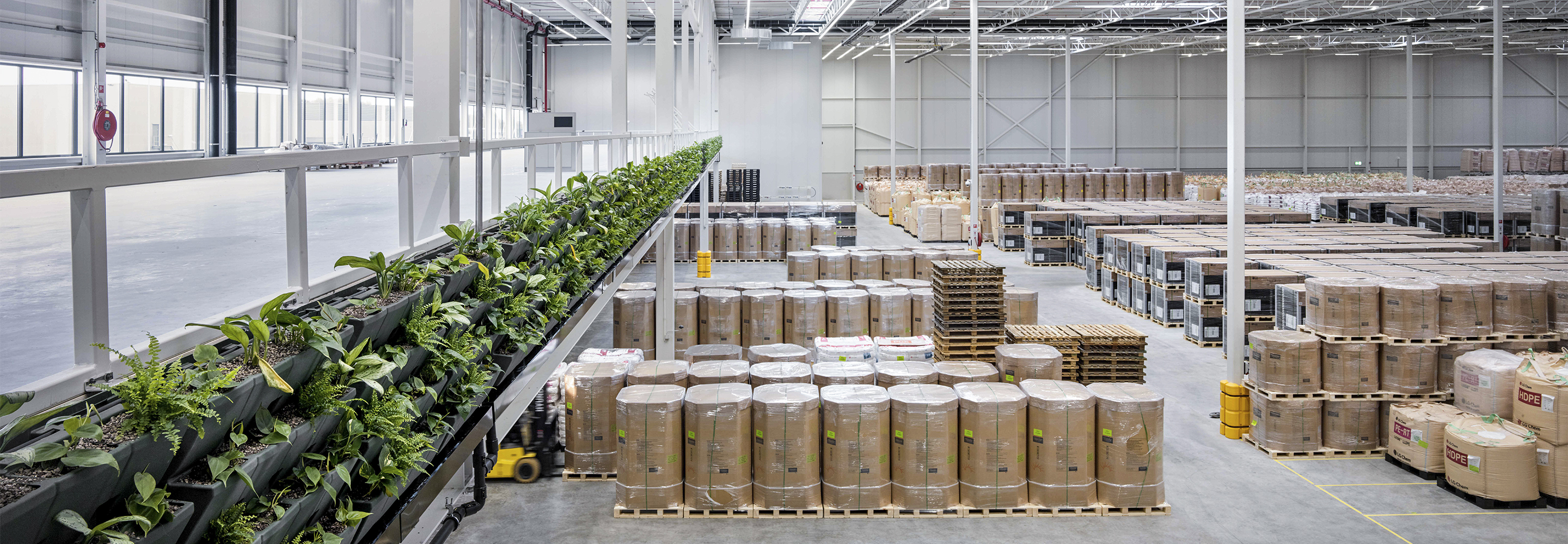 Lots of natural light flooding the interior of a distribution center in Tilburg, Germany