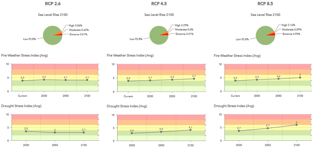 Risk Management Tool