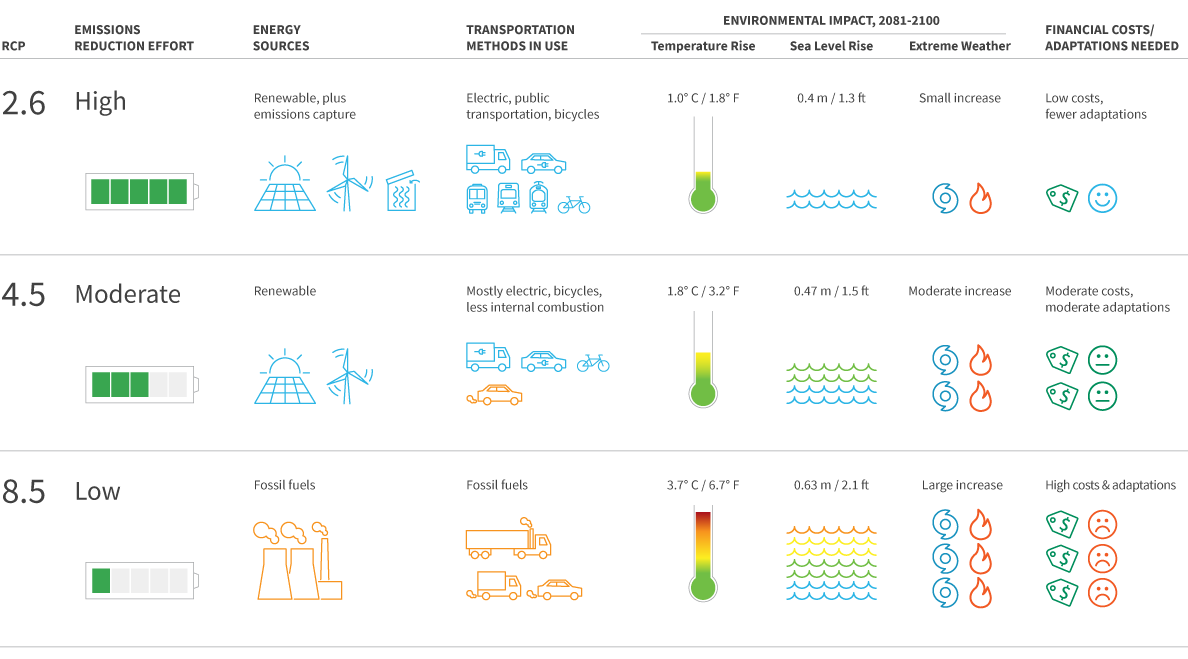 2020 TCP Infographic