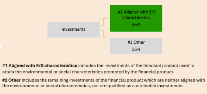 Graphic supporting the SFDR website disclosure