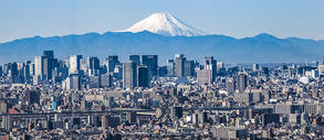 Tokyo city view and Mountain Fuji in background