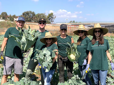 Impact Day 2019 - Team members in Los Angeles, California help garden, pick and pack vegetables for inner-city kitchens.