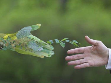 Green Lease
