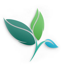 Feature - Earth Day Update on Prologis' Sustainability Initiatives Prologis' Sustainability Initiatives